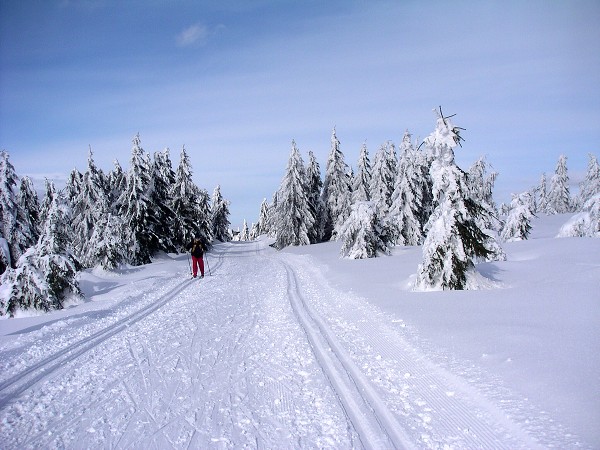 Lyžařský přejezd Orlických hor 2006